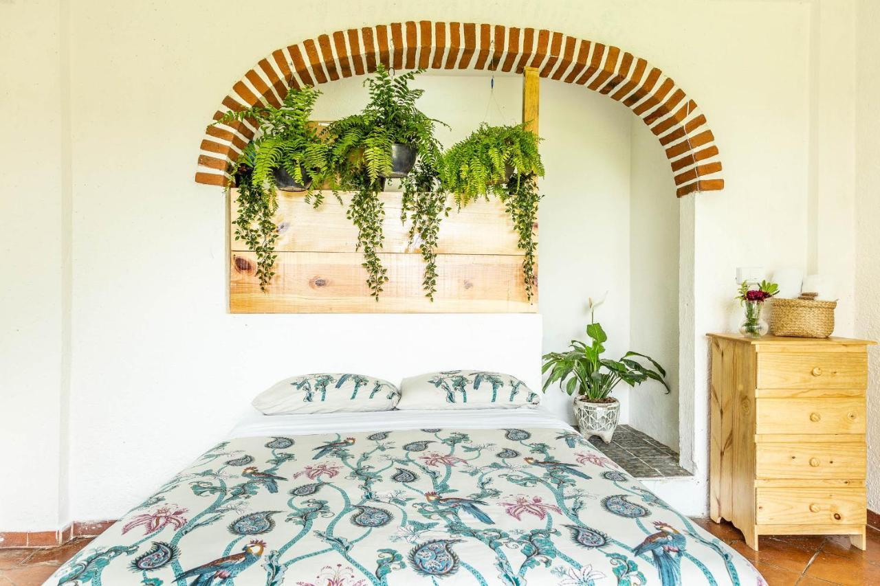 Hotel Colibri Turquesa à Tepoztlán Extérieur photo